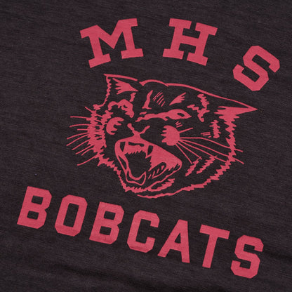 Lot 4601 MHS